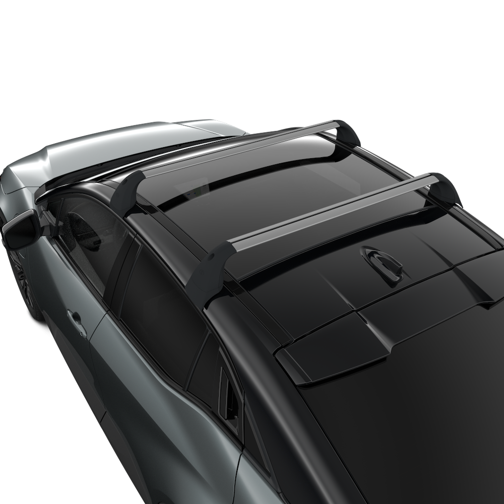 Dach-Basisträger (2 Stück)