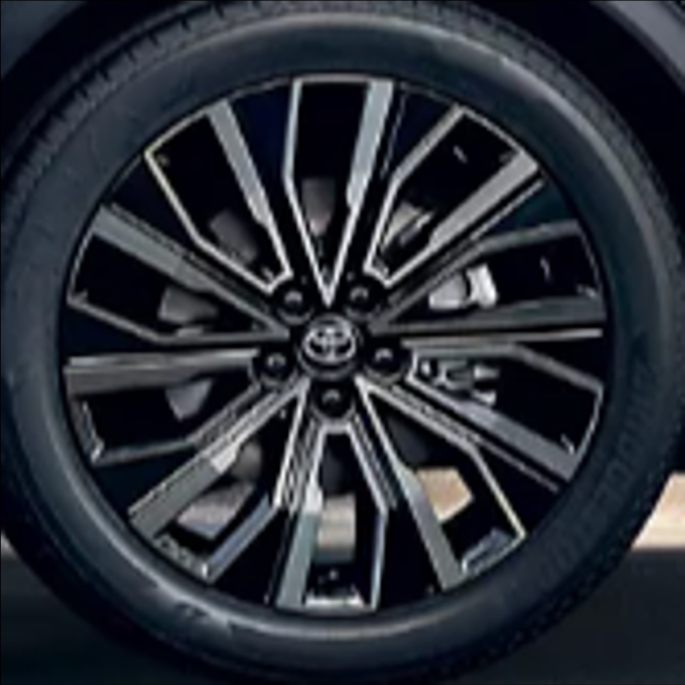 Alufelge 20 Zoll 10-Speichen Design