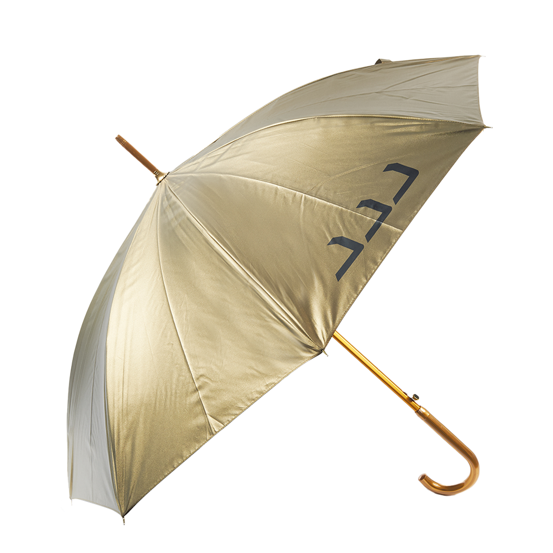 Regenschirm