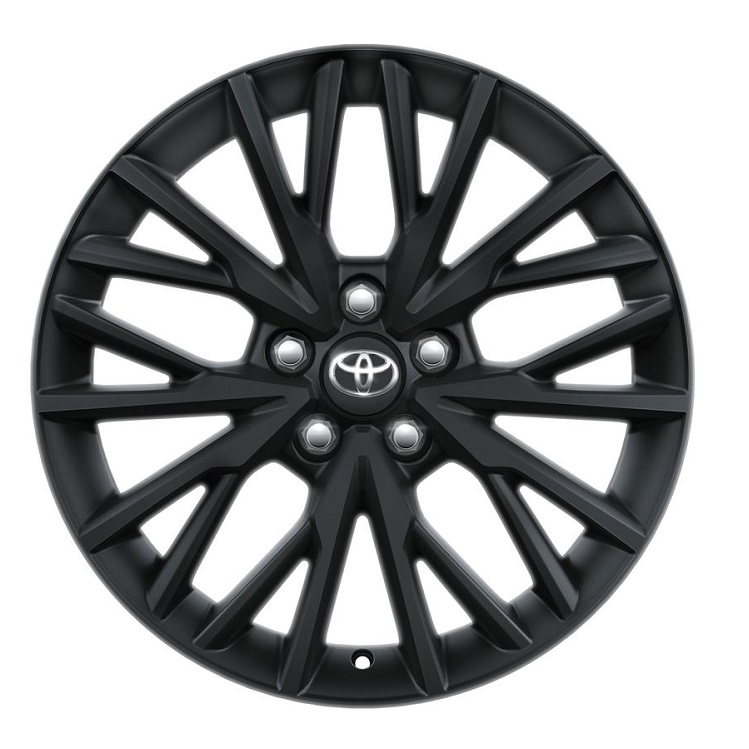Leichtmetallfelge 18 Zoll, matt schwarz, 10-Speichen-V-Design