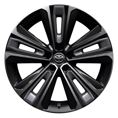 20 Zoll Leichtmetallfelge, 5-Doppelspeichen-Design, schwarz 20 Zoll Leichtmetallfelge, 5-Doppelspeichen-Design, schwarz