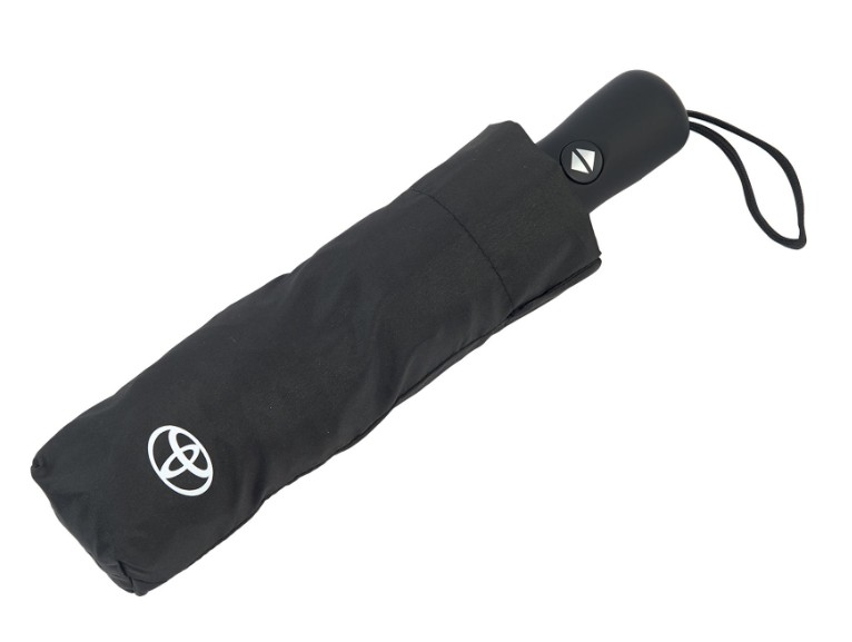 Kleiner Taschenschirm