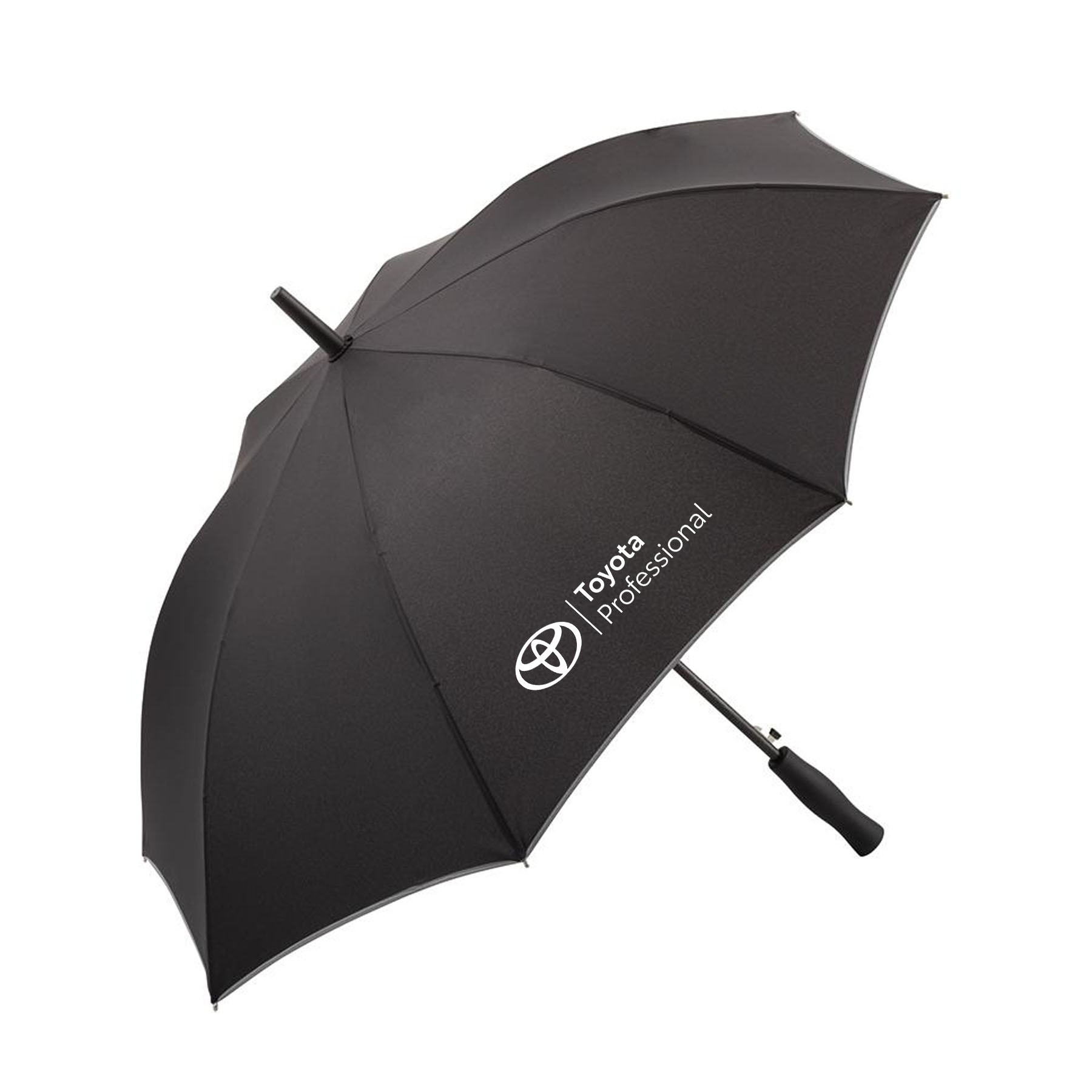 REGENSCHIRM