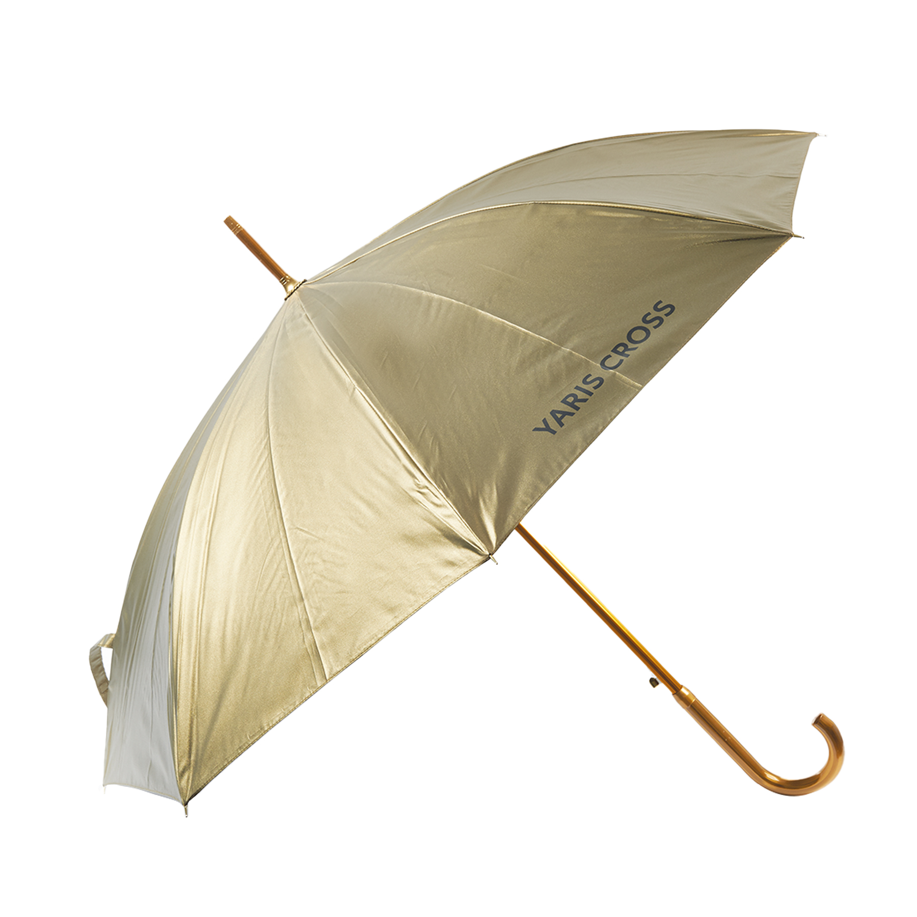 Regenschirm