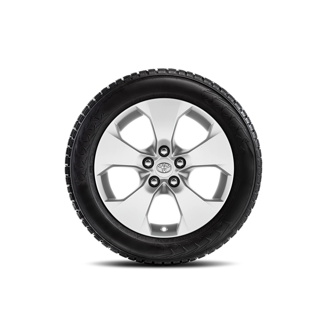 17" Leichtmetall-Winterkomplettradsatz, 5-Speichen-Design in Silber mit Semperit Speed Grip 5