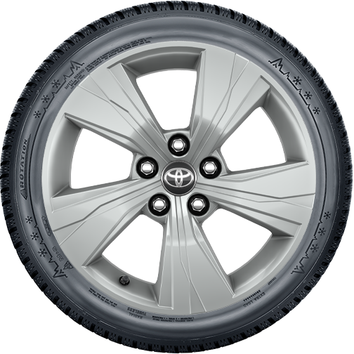 17" Leichtmetall-Winterkomplettradsatz, 5-Speichen-Design in Silber mit Bridgestone Blizzak 6